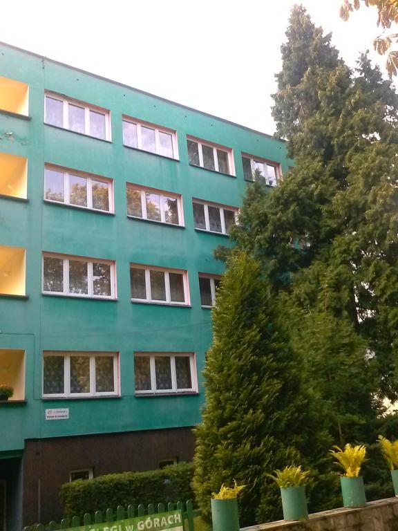 Хостел Pod Zielonym Kogutem Душники-Здруй Екстер'єр фото